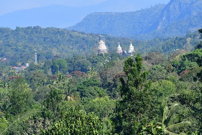 Foto de Elephant Junction Thekkady