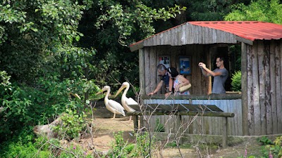 Foto de Zoo de Lourosa