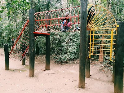 Foto de Bosque Reinhard Maack