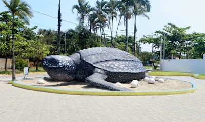 Foto de Tartaruga Gigante Pontal do Paraná