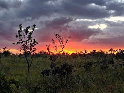 Foto de Parque Ecológico Tororó
