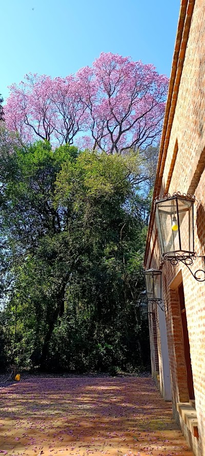 Foto de Ruta de los colosos - Tajy de Bella Vista, Itapúa