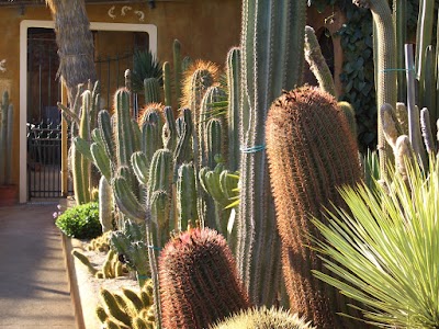 Foto de Giardino Esotico Pallanca