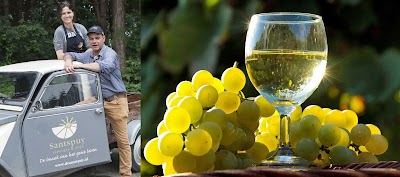 Foto de The Santspuy wine and asparagus farm