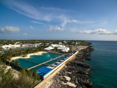 Foto de Dolphin Discovery Grand Cayman