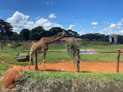 Foto de Zoológico de Brasília
