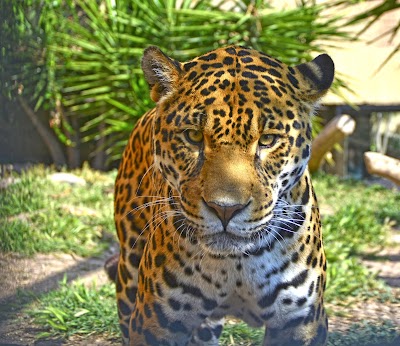 Foto de Terra Natura