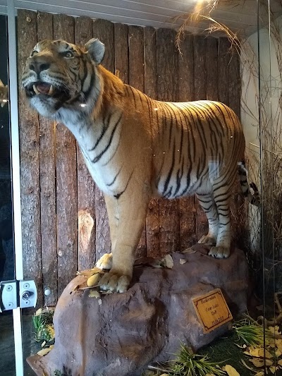 Foto de Museu de Ciências Naturais
