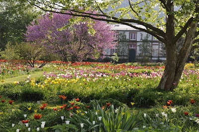 Foto de Schau- und Sichtungsgarten Hermannshof