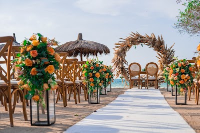 Foto de Hotel ISLABELA, Isla del Rosario