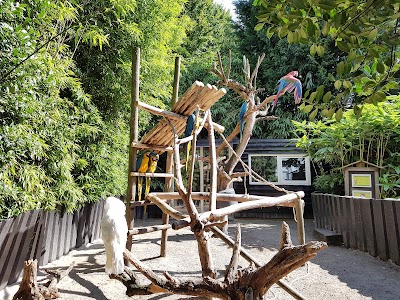 Foto de Zoo De Oliemeulen