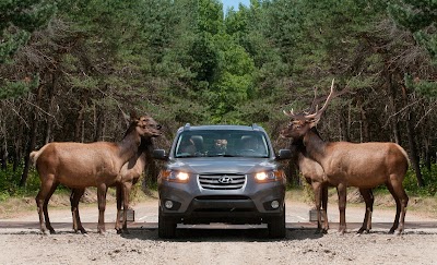 Foto de Omega Park