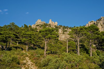 Wikitravel