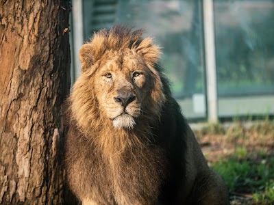 Foto de Zoo Santo Inácio