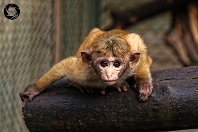 Foto de Skærup Zoo