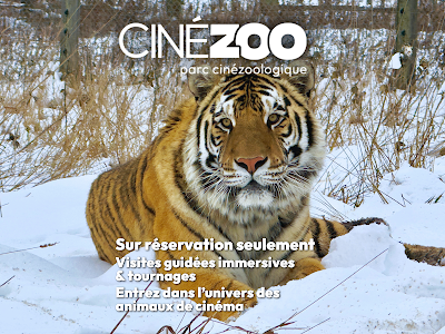 Foto de Cinézoo