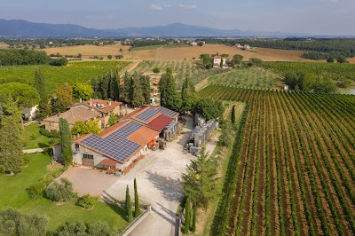 Foto de San Luciano vini di Toscana