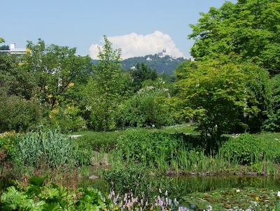 Foto de Linz Botanical Garden