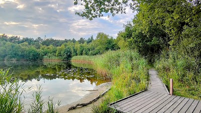 Foto de Kreelsche Plas