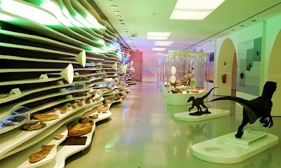 Foto de Museu de História Natural de Sintra