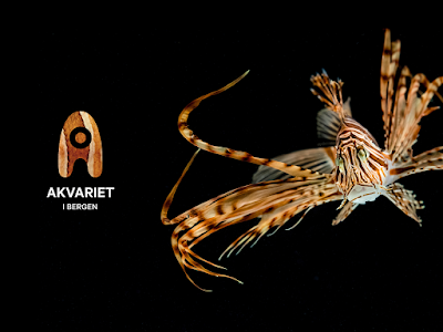 Foto de Akvariet i Bergen - The National Aquarium