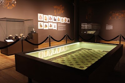 Foto de Museo de Arqueología y Antropólogía UNMSM