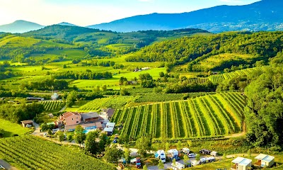 Foto de Saksida, wine e camping resort