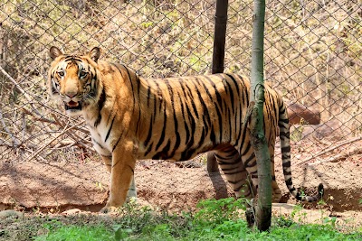 Foto de Sri Venkateswara Zoological Park