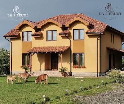 Foto de Pensiunea La Doi Pruni