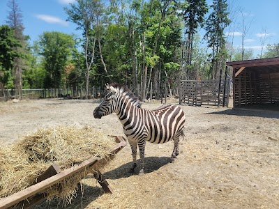 Foto de Familizoo