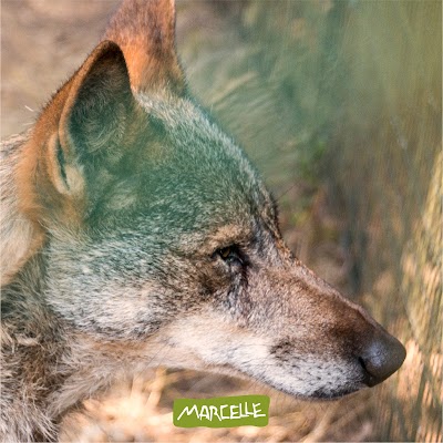 Foto de Marcelle Natureza