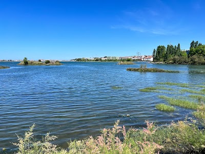 Foto de Parque Ecológico de Plaiaundi