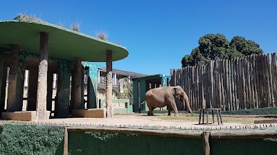 Foto de BioParque do Rio