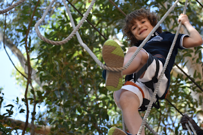 Foto de Acrobranch Constantia