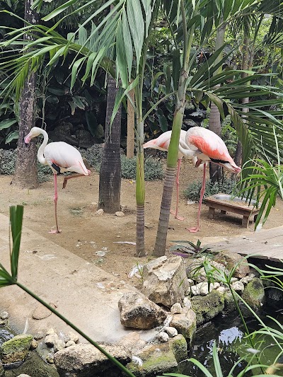 Foto de Zoológico Ecopark Sol e Mar