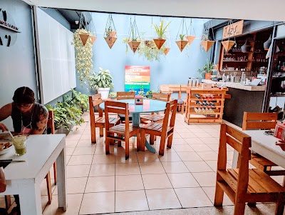 Foto de Árbol de Seda