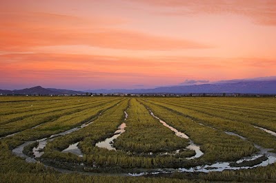 Wikitravel