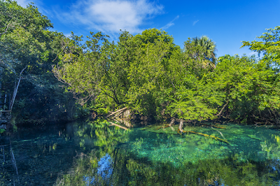 Foto de Indigenous Eyes Ecological Reserve
