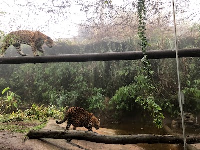 Foto de GramadoZoo