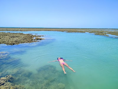 Foto de Milagres Adventure Passeio Para as Piscinas Naturais e Passeio de Buggy Milagres!