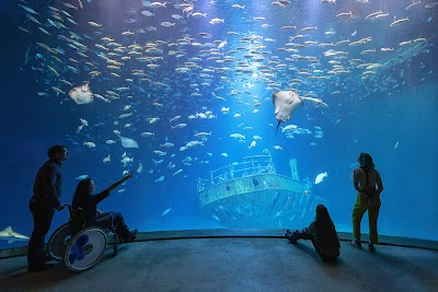 Foto de Ozeaneum