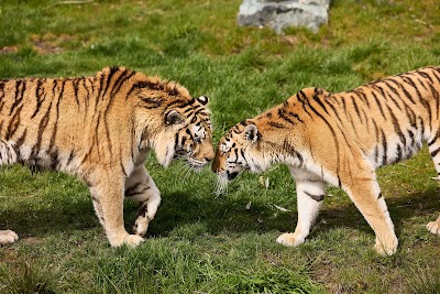 Foto de Aquazoo Friesland